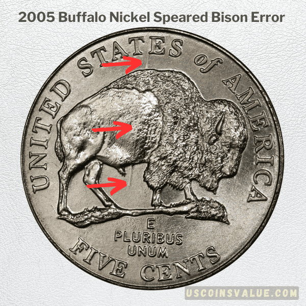 2005 Buffalo Nickel Speared Bison Error
