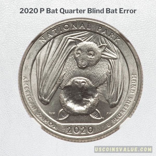 2020 P Bat Quarter Blind Bat Error
