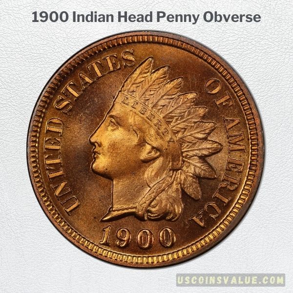 1900 Indian Head Penny Obverse