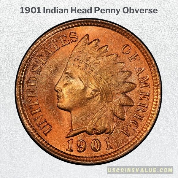 1901 Indian Head Penny Obverse