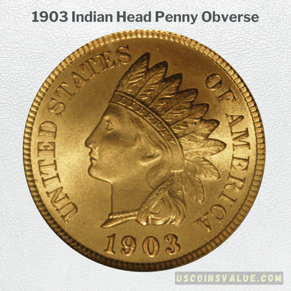 1903 Indian Head Penny Obverse