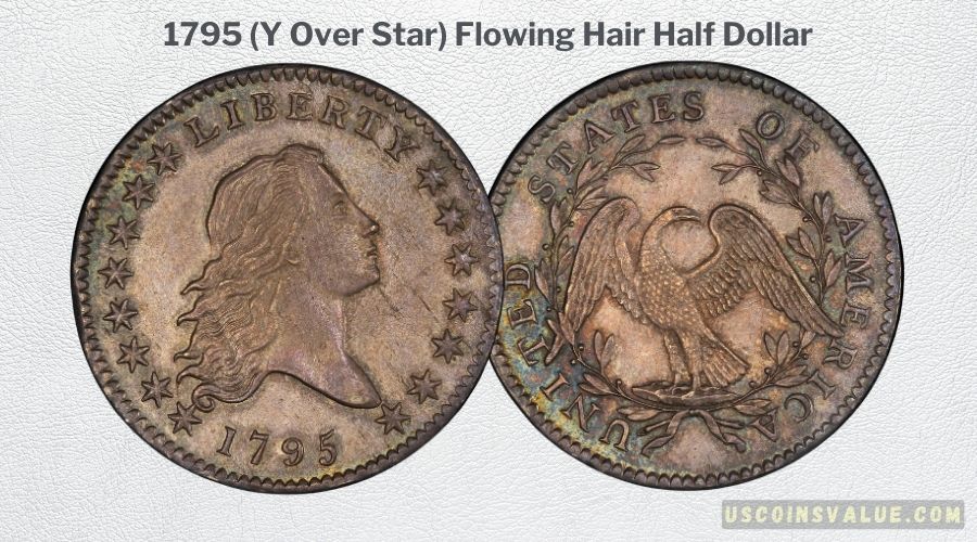1795 (Y Over Star) Flowing Hair Half Dollar 